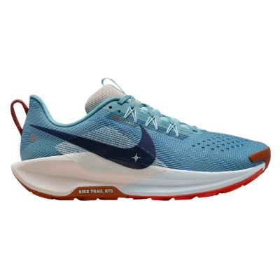 Buty do biegania w terenie męskie Nike Pegasus Trail 5 DV3864