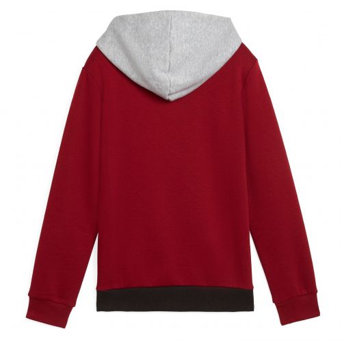 Bluza dla chłopców Puma Essentials Block Hoodie FL 679717