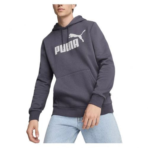 Bluza męska Puma Essentials Big Logo Hood FL 586687