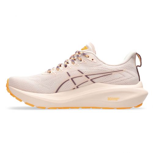 Buty do biegania damskie Asics GT-2000 13 TR 1012B749