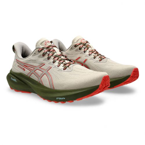 Buty do biegania męskie Asics GT-2000 13 TR 1011B954