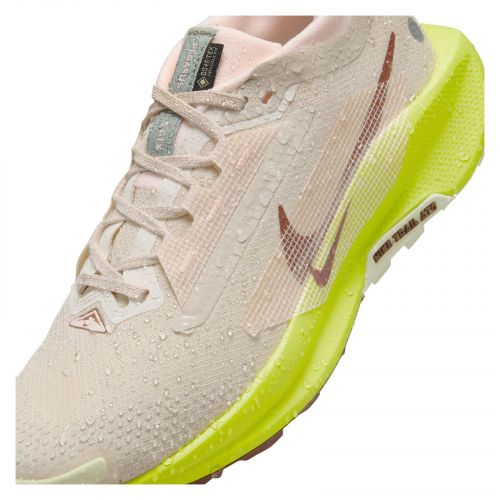 Buty do biegania w terenie damskie Nike Pegasus Trail 5 GTX FQ0912