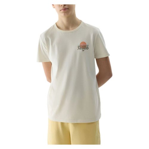 Koszulka dla chłopców 4F 4FJWSS24TTSHM1136