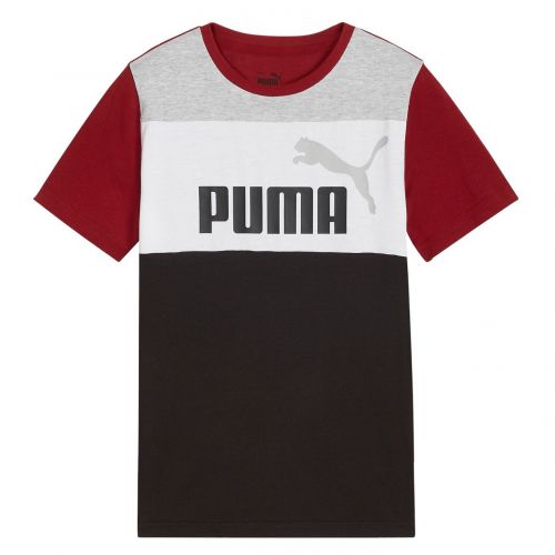 Koszulka dla chłopców Puma Essential Blocked Tee 679716