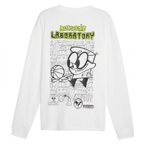 Koszulka do koszykówki męska Puma Dexter S Lab L/S 625339